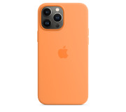 Чехлы для iPhone 13 Pro
