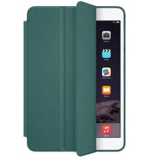 Чехол на iPad Air Smart Case (Pine Green)
