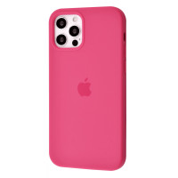 Чехол на iPhone 12 Silicone Case Full Dragon Fruit