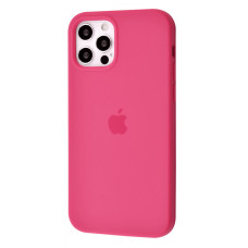 Чохол на iPhone 12 Silicone Case Full Dragon Fruit