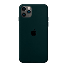 Чехол на iPhone 12 Silicone Case Full Forest Green