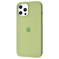 Чохол Silicone Case Full для iPhone 12 Pro Max Mint Gum