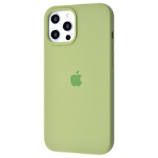 Чехол Silicone Case Full для iPhone 12 Pro Max Mint Gum