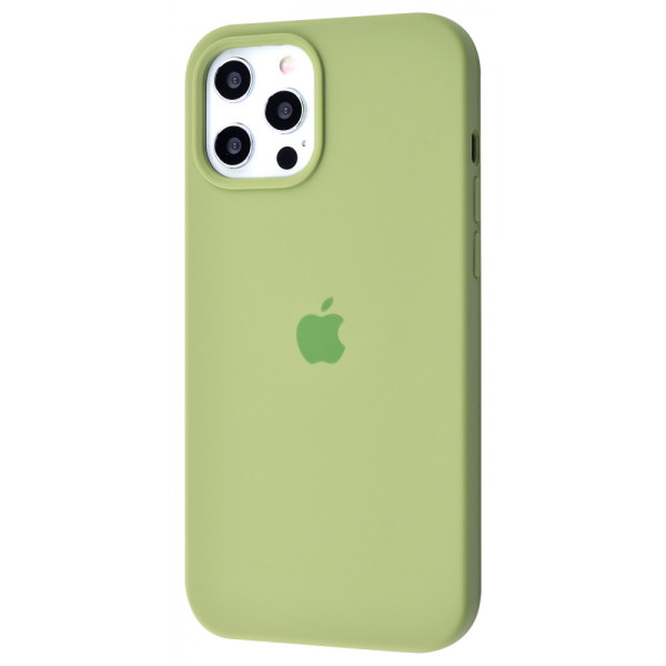 Чохол Silicone Case Full для iPhone 12 Pro Max Mint Gum