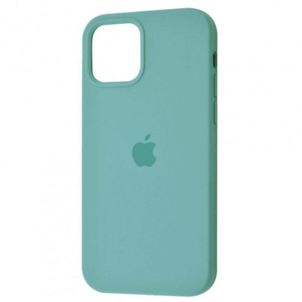 Чехол Silicone Case Full для iPhone 12 Cactus