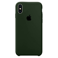 Чохол Silicone Case для iPhone X / XS (Virid) OEM