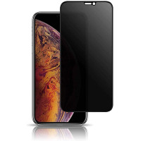 Захисне скло для iPhone XS Max / 11 Pro Max (6.5") Privacy Glass (Анти-шпигун)